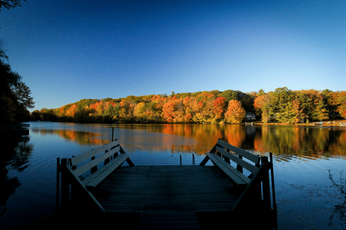 Screen Shot 2017-07-24 at 8.43.14 PM